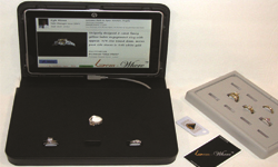 SmartView